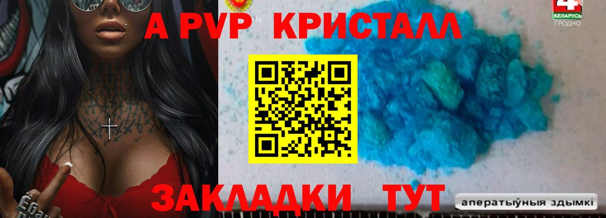 A-PVP крисы CK Ачхой-Мартан