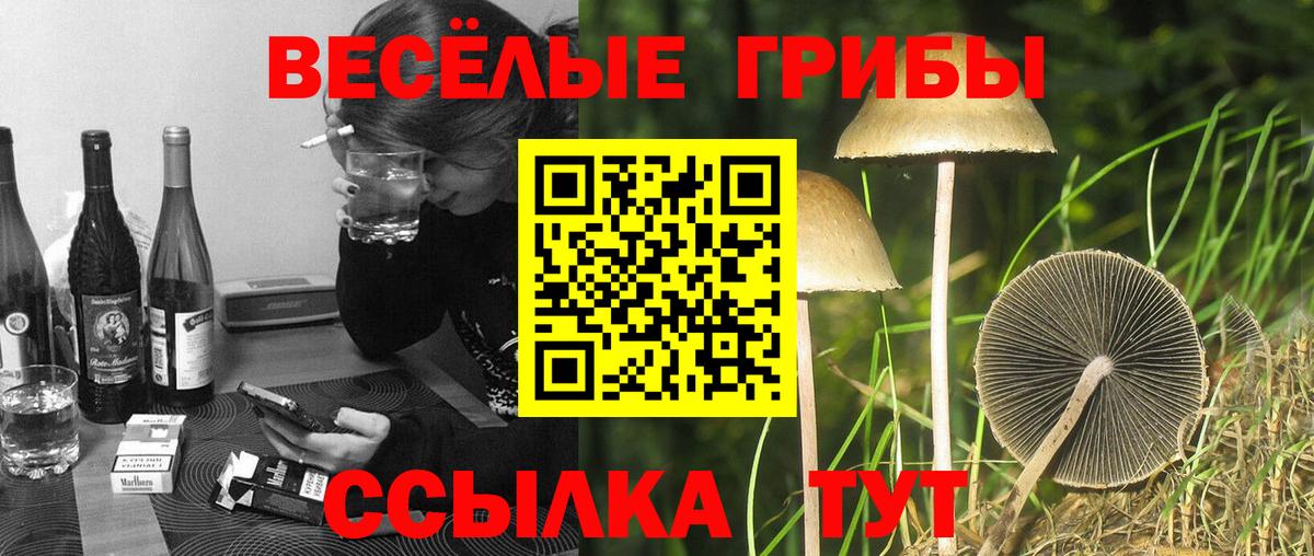Галлюциногенные грибы Magic Shrooms Ачхой-Мартан